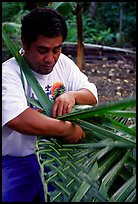 Villager weaving a basket out of a single palm leaf. Tutuila, American Samoa