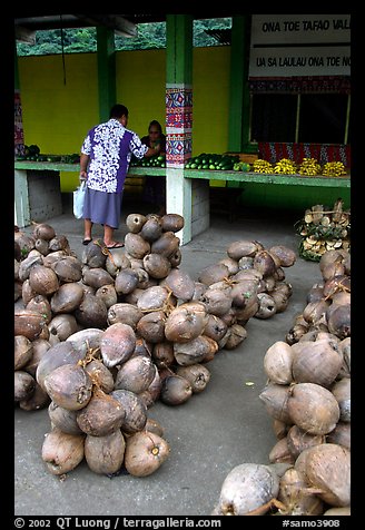 Coconuts at a fruit stand in Iliili. Tutuila, American Samoa