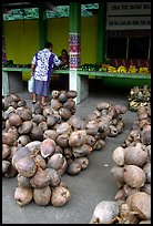 Coconuts at a fruit stand in Iliili. Tutuila, American Samoa (color)