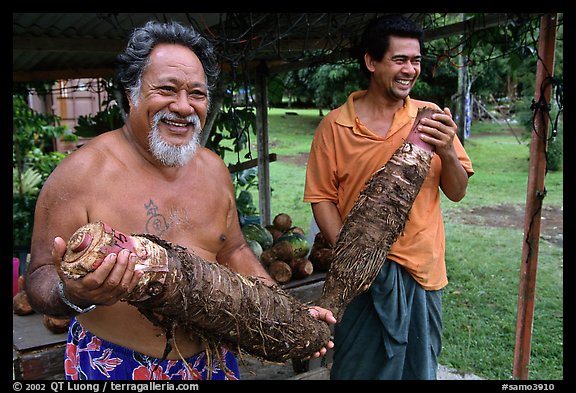 Islanders holding Taro roots in Iliili. Tutuila, American Samoa (color)