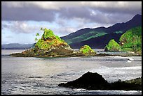 Rocky shore near Maa Kamela. Tutuila, American Samoa (color)