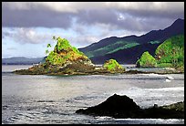 Rocky shore near Maa Kamela. Tutuila, American Samoa