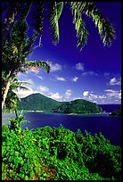View over Masefau Bay. Tutuila, American Samoa (color)
