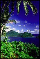 View over Masefau Bay. Tutuila, American Samoa