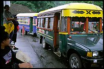 Colorful aiga busses, Pago Pago. Pago Pago, Tutuila, American Samoa