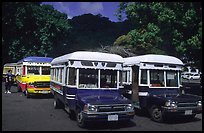 Decorated aiga busses, Pago Pago. Pago Pago, Tutuila, American Samoa