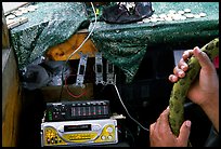 Hands of Aiga bus driver and sound system. Pago Pago, Tutuila, American Samoa (color)