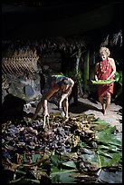 Candy Mann and Tisa Faamuli preparing Samoan Umu Feast. Tutuila, American Samoa ( color)