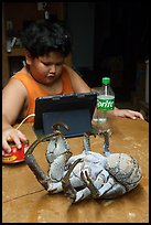 Frozen coconut crab and Samoan boy, Ofu Island. American Samoa ( color)