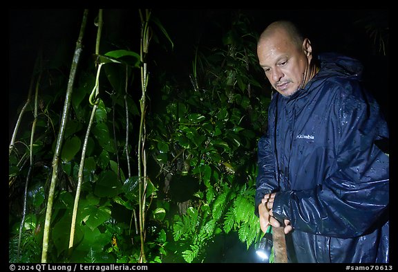 Manaia during coconut crab hunt, Ofu Island. American Samoa (color)