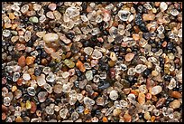 Pictures of Sand Grains