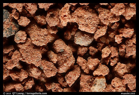 Black Forest, Petrified Forest National Park.  (color)