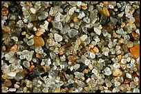 Golden Gate Beach, California.  ( color)