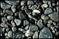 Waianapanapa Black Sand Beach, Maui, Hawaii.  ( color)