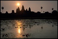 Angkor Wat reflected in pond at sunrise. Angkor, Cambodia