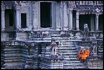 Buddhist monks on stairs, Angkor Wat. Angkor, Cambodia