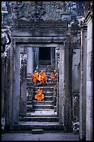 Buddhist monks in the Bayon. Angkor, Cambodia