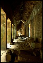 Corridor, Ta Prom. Angkor, Cambodia (color)