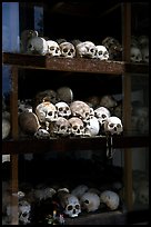 Skulls of executed prisoners, Choeng Ek Killing Fields memorial. Phnom Penh, Cambodia