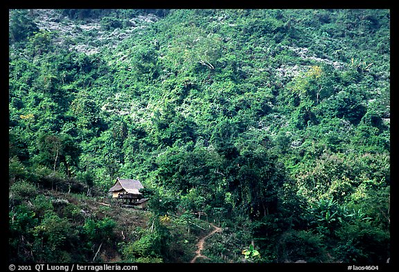 Hillside village in luxuriant jungle. Mekong river, Laos (color)