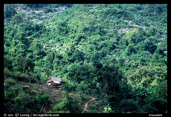 Hillside village in luxuriant jungle. Mekong river, Laos