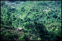 Hillside village in luxuriant jungle. Mekong river, Laos ( color)