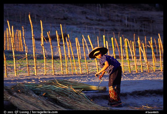 Villager and fence. Mekong river, Laos (color)