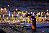 Villager and fence. Mekong river, Laos