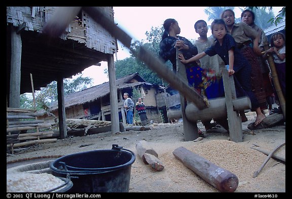 Preparation of rice in a small hamlet. Mekong river, Laos