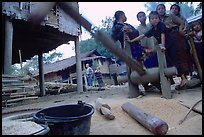 Preparation of rice in a small hamlet. Mekong river, Laos (color)