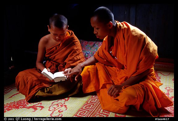 Buddhist novice monks reading. Luang Prabang, Laos