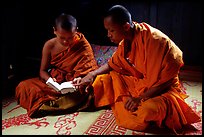 Buddhist novice monks reading. Luang Prabang, Laos