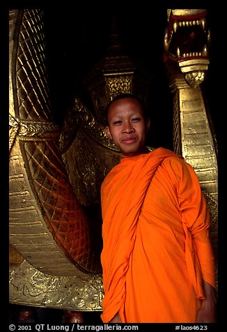 Buddhist novice monk, grinning because demonstrating ordained monks style of robe draping. Luang Prabang, Laos