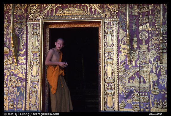 Buddhist novice monk stands at door of shrine, Wat Xieng Thong. Luang Prabang, Laos (color)