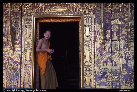 Buddhist novice monk stands at door of shrine, Wat Xieng Thong. Luang Prabang, Laos