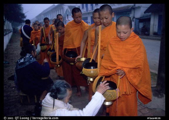 Women give alm during morning procession of buddhist monks. Luang Prabang, Laos