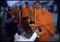 Women give alm during morning procession of buddhist monks. Luang Prabang, Laos