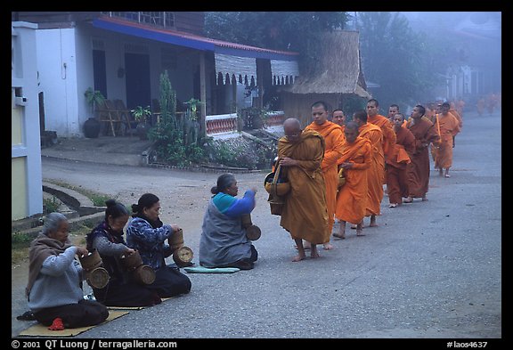 Women line up to offer alm to buddhist monks. Luang Prabang, Laos (color)