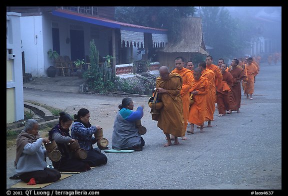 Women line up to offer alm to buddhist monks. Luang Prabang, Laos