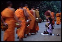 Buddhist monks walking past alm-giving woman. Luang Prabang, Laos