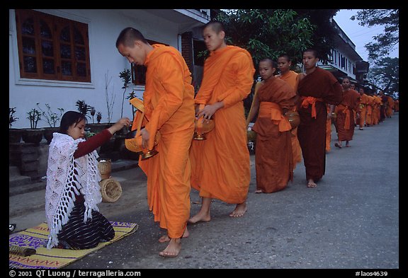 Buddhist monks receiving alm from woman. Luang Prabang, Laos (color)