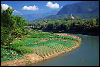 Fields on the banks of the Nam Khan river. Luang Prabang, Laos (color)