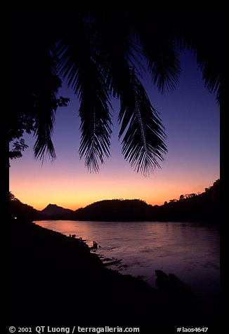 Sunset on the Mekong river framed by coconut trees, Luang Prabang. Mekong river, Laos (color)