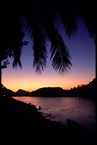 Sunset on the Mekong river framed by coconut trees, Luang Prabang. Mekong river, Laos (color)