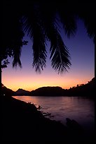 Sunset on the Mekong river framed by coconut trees, Luang Prabang. Mekong river, Laos