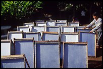 Paper making in Ban Phanom village. Luang Prabang, Laos (color)