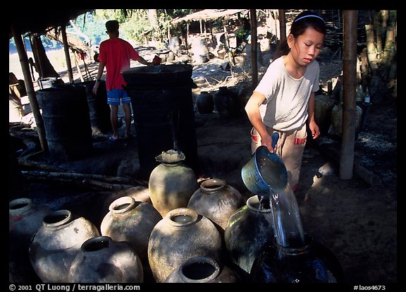 Making of the Lao Lao, strong local liquor in Ban Xang Hai village. Laos (color)