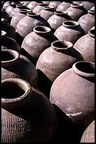 Jars in Ban Xang Hai, which used to be a pottery village. Laos ( color)