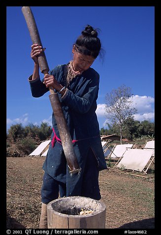 Paper making in Ban Nam Sang village. Laos (color)