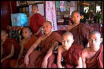 Monks,  Shwedagon Paya. Yangon, Myanmar (color)